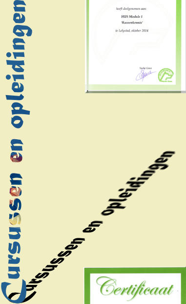 Cursussen en opleidingen